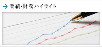 業績・財務ハイライト